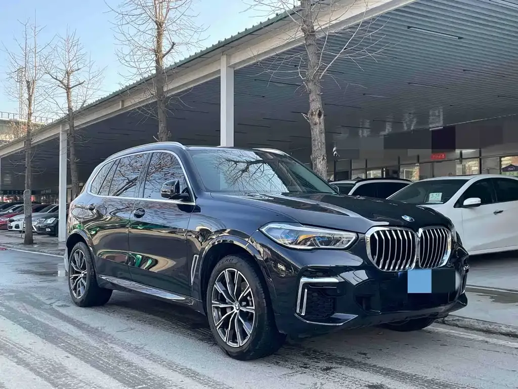 BMW X5 2023 из CN, фото 7