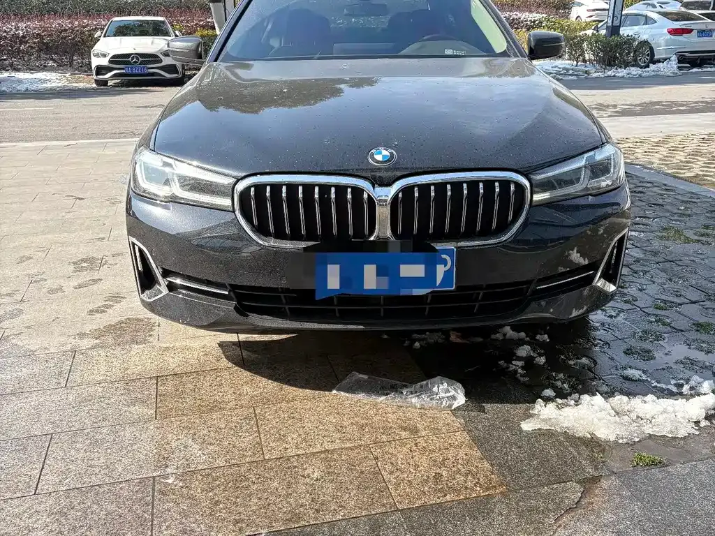 BMW 5 Series 2022 из CN, фото 5