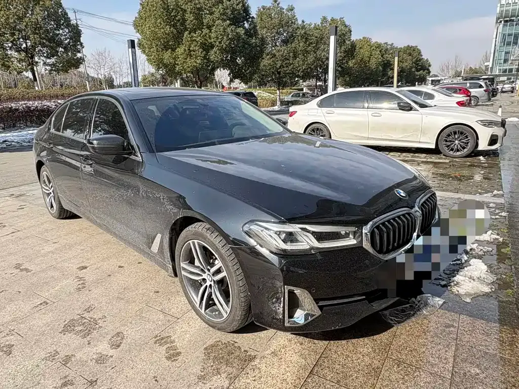 BMW 5 Series 2022 из CN, фото 7