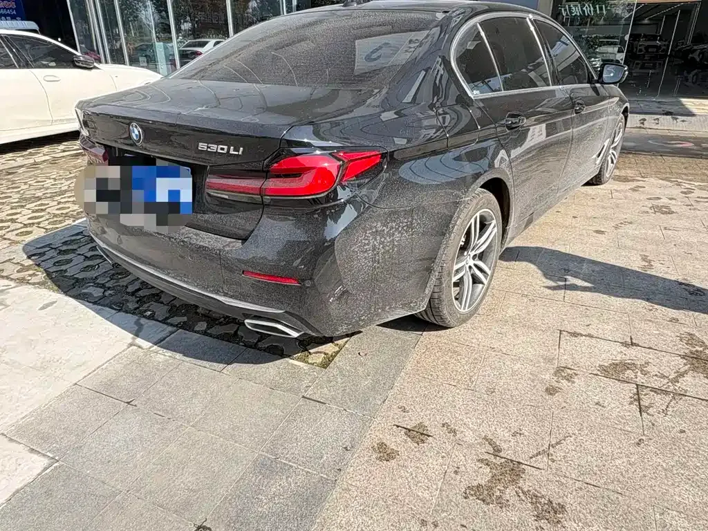 BMW 5 Series 2022 из CN, фото 9