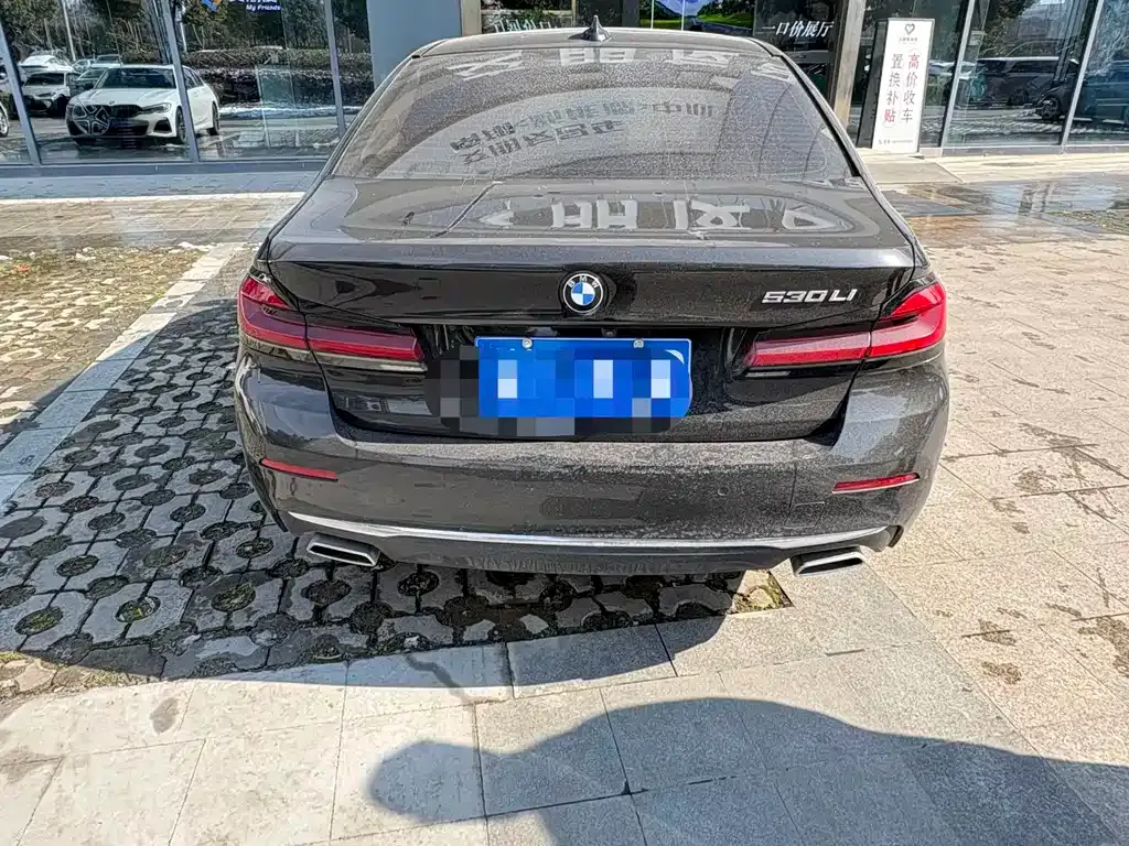 BMW 5 Series 2022 из CN, фото 4