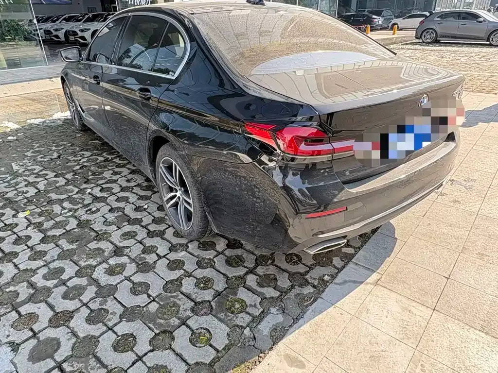 BMW 5 Series 2022 из CN, фото 8