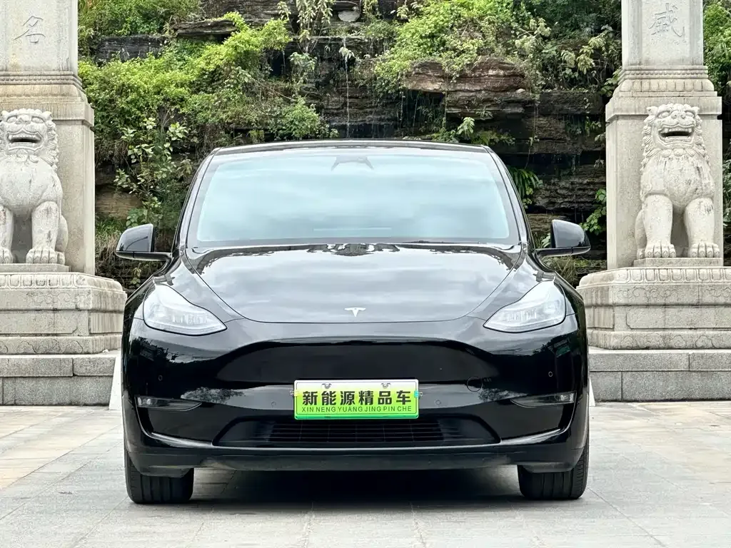 Tesla Model Y — фото 6