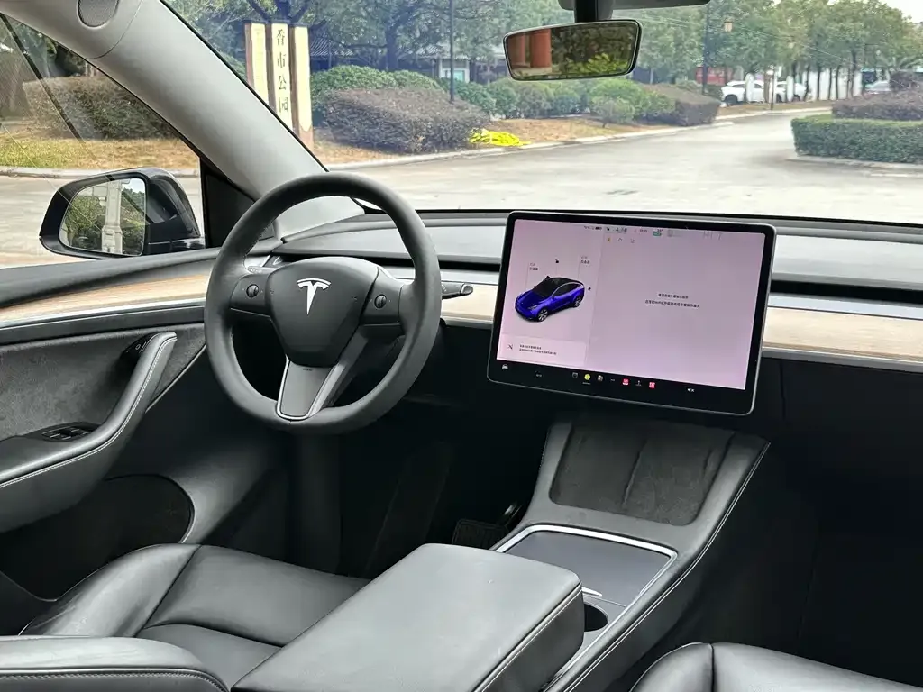 Tesla Model Y — фото 9