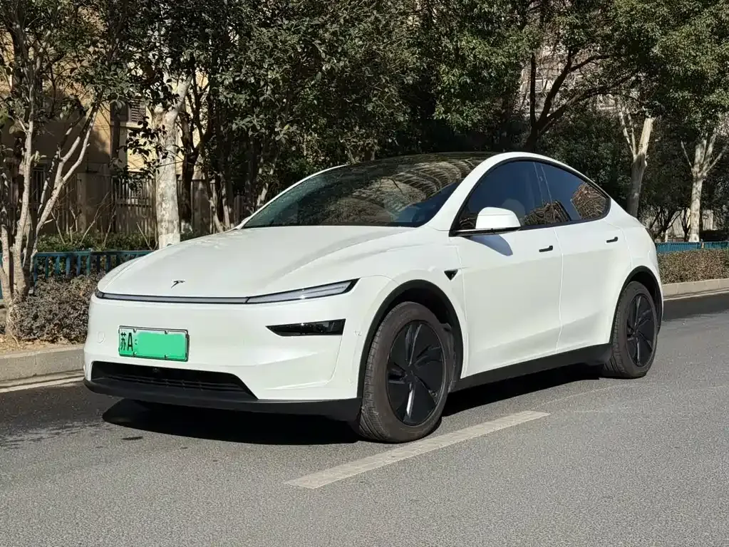 Tesla Model Y 2025 из CN, фото 1