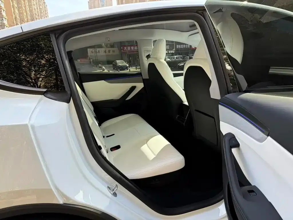 Tesla Model Y 2025 из CN, фото 8