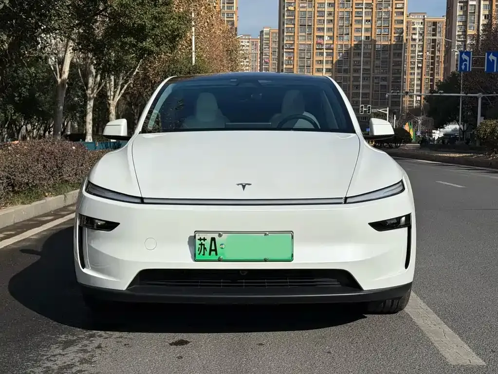 Tesla Model Y 2025 из CN, фото 5
