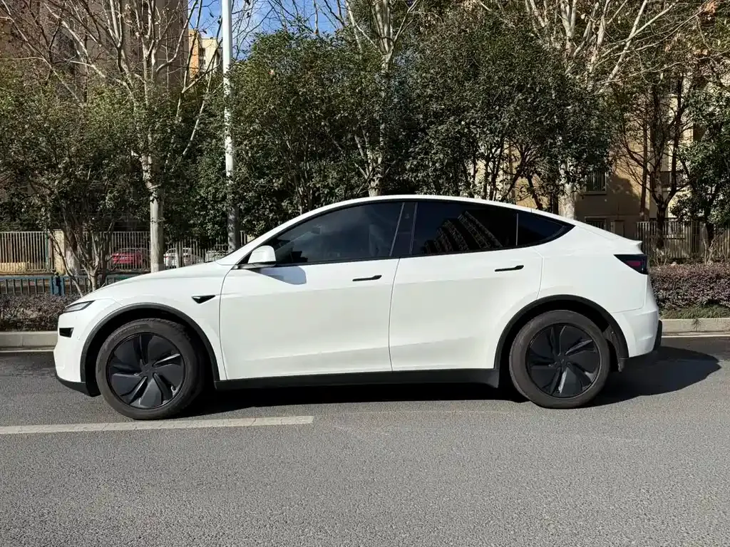 Tesla Model Y 2025 из CN, фото 10