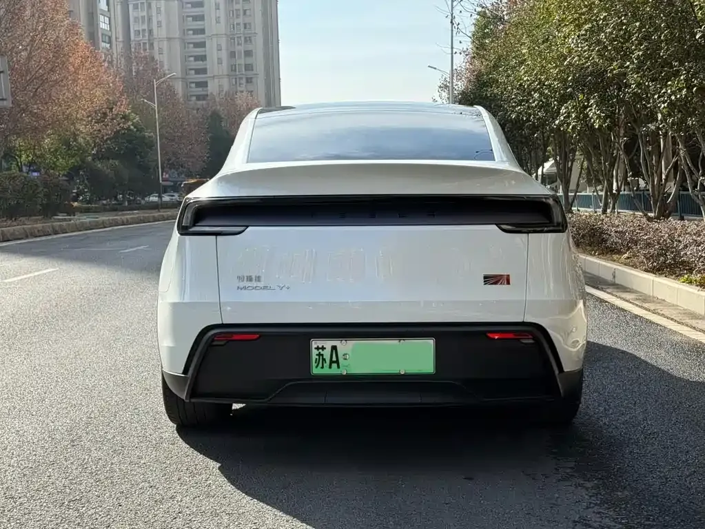 Tesla Model Y 2025 из CN, фото 9