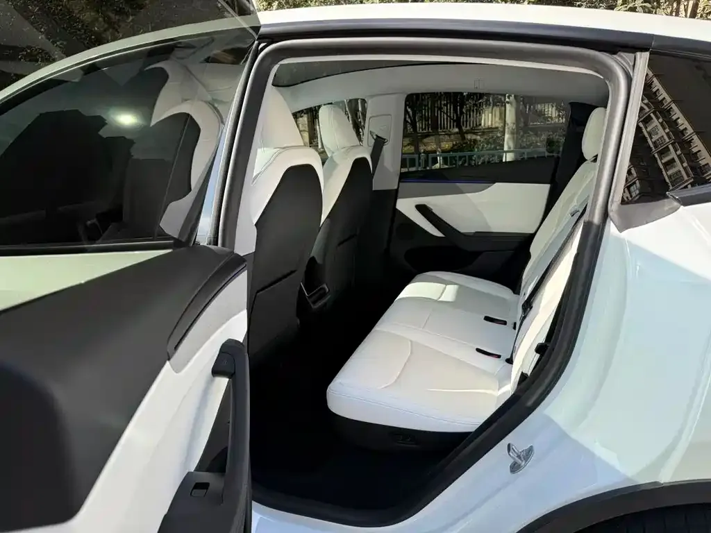 Tesla Model Y 2025 из CN, фото 2