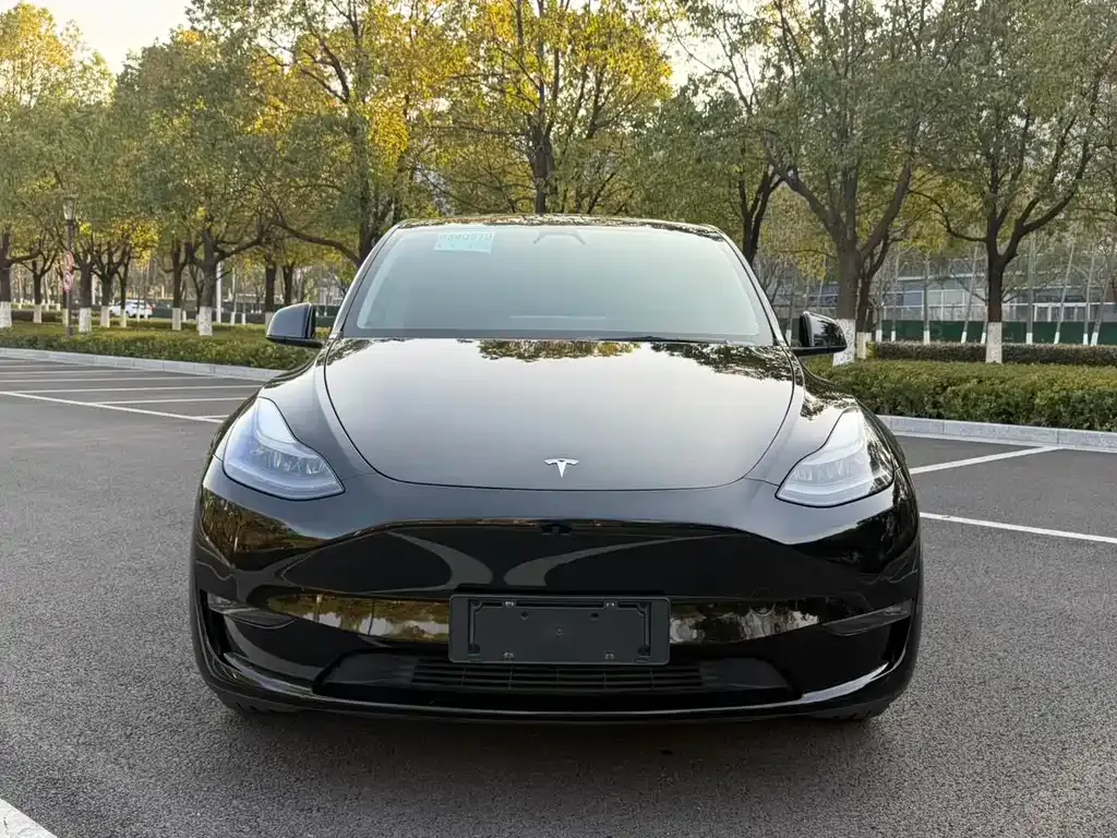 Tesla Model Y — фото 7