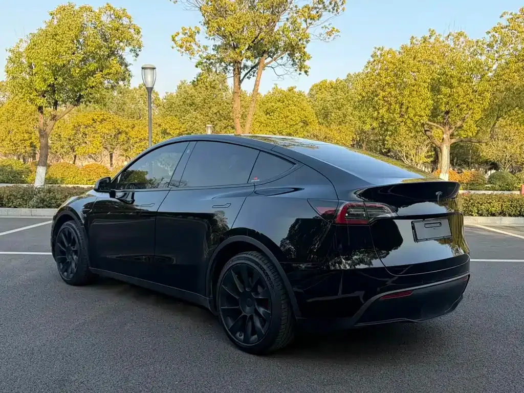 Tesla Model Y — фото 4