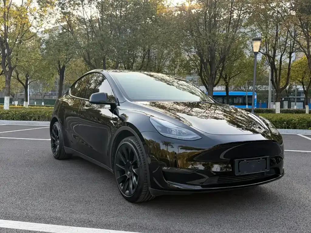Tesla Model Y — фото 9