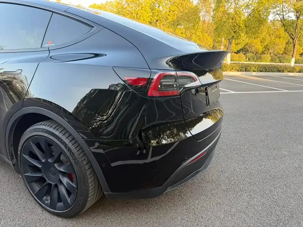 Tesla Model Y — фото 2