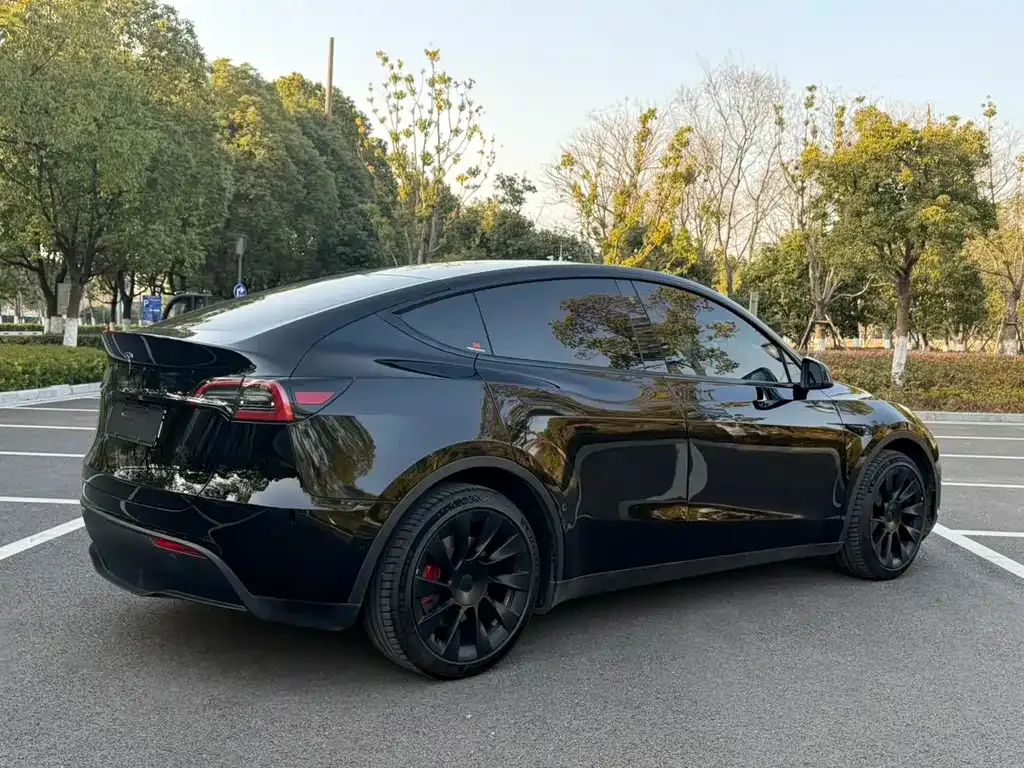 Tesla Model Y — фото 8