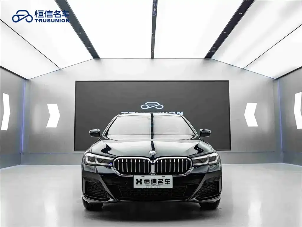 BMW 5 Series 2023 из CN, фото 6