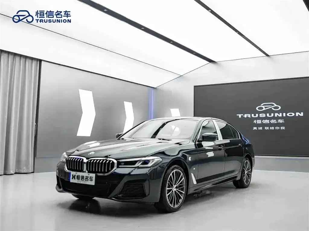 BMW 5 Series 2023 из CN, фото 9