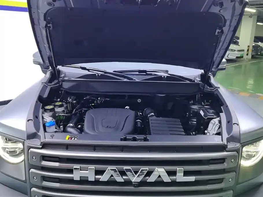Haval Menglong New Energy 2025 из CN, фото 9