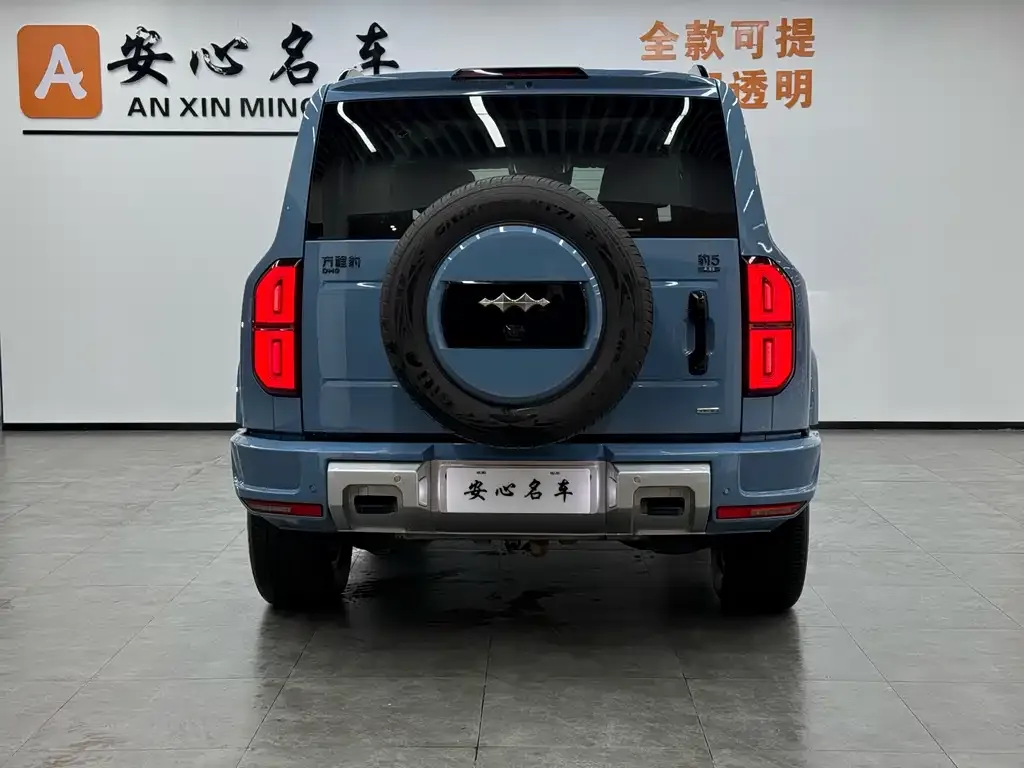 Fang Cheng Bao Leopard 5 — фото 4