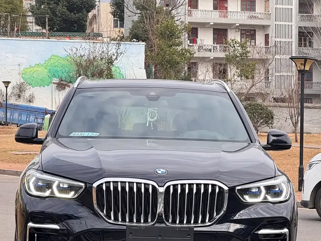 BMW X5 2022 из CN, фото 1