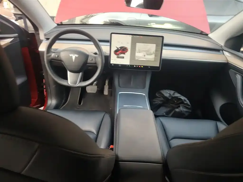 Tesla Model Y 2021 из CN, фото 4