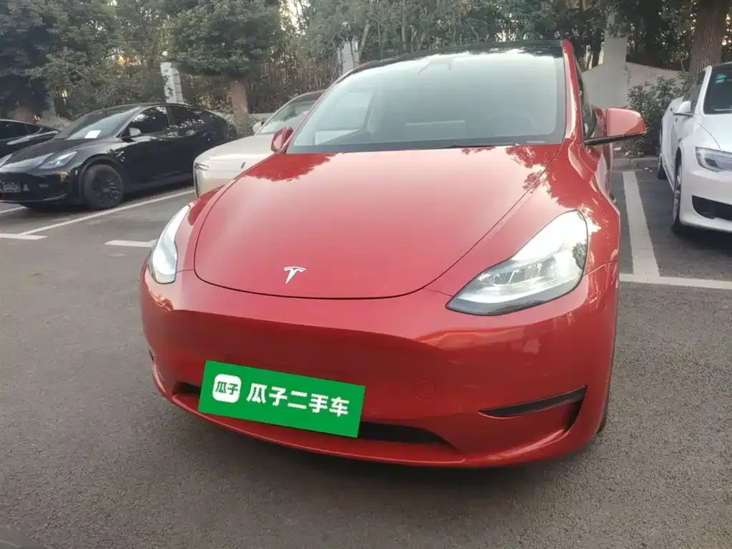 Tesla Model Y 2021 из CN, фото 7
