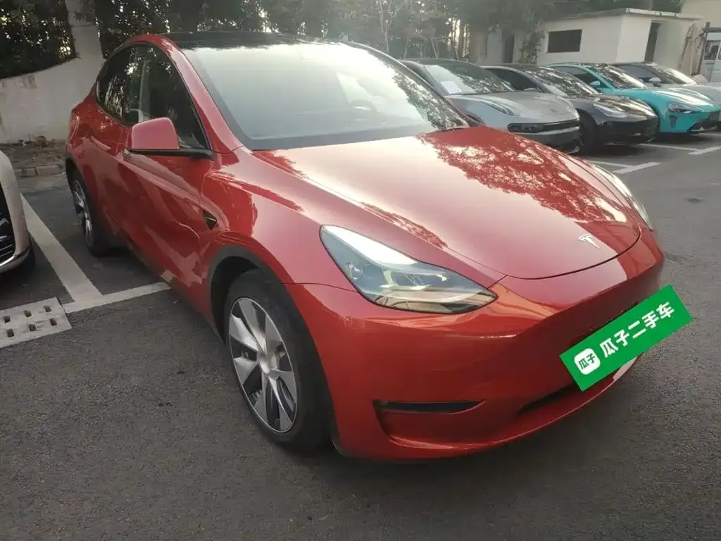 Tesla Model Y 2021 из CN, фото 5
