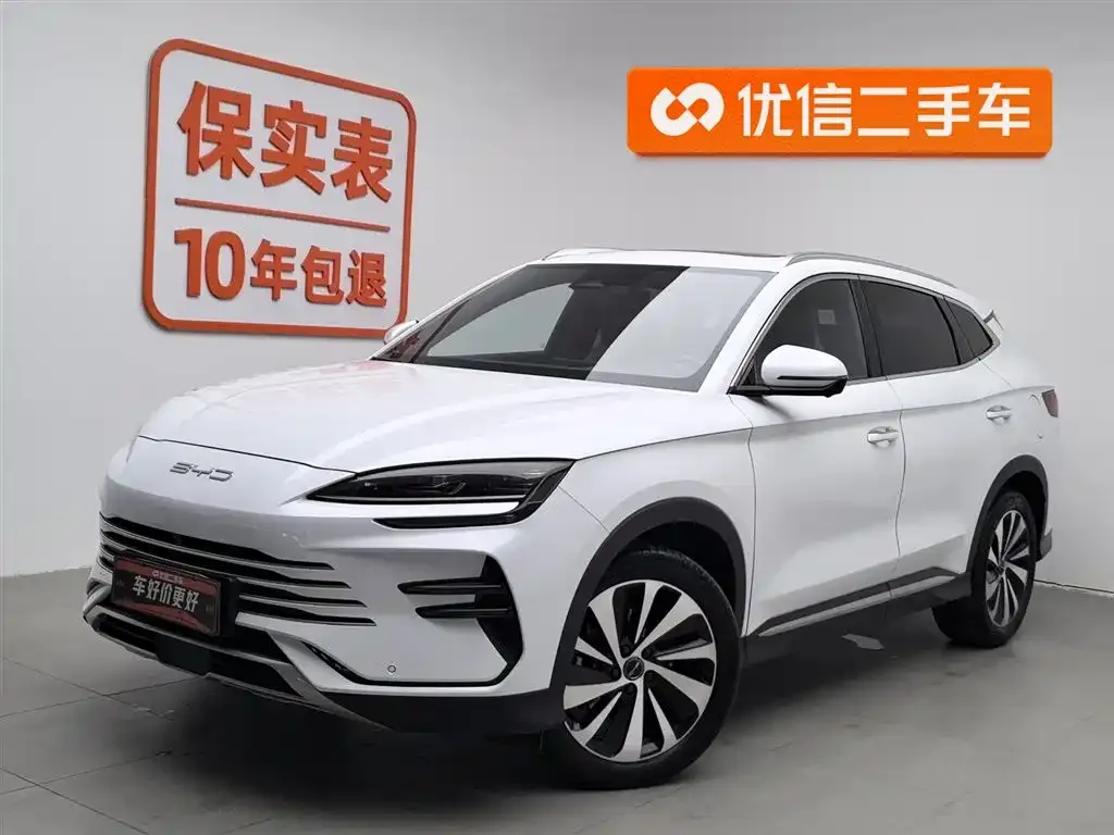 BYD PLUS New Energy — фото 1