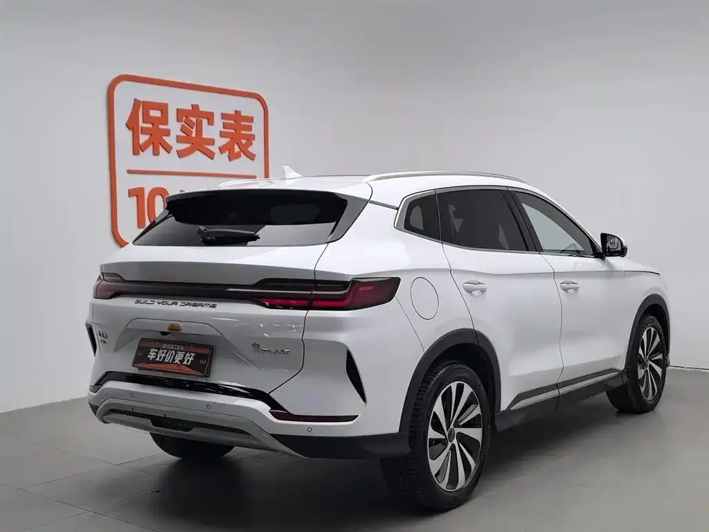 BYD PLUS New Energy — фото 4