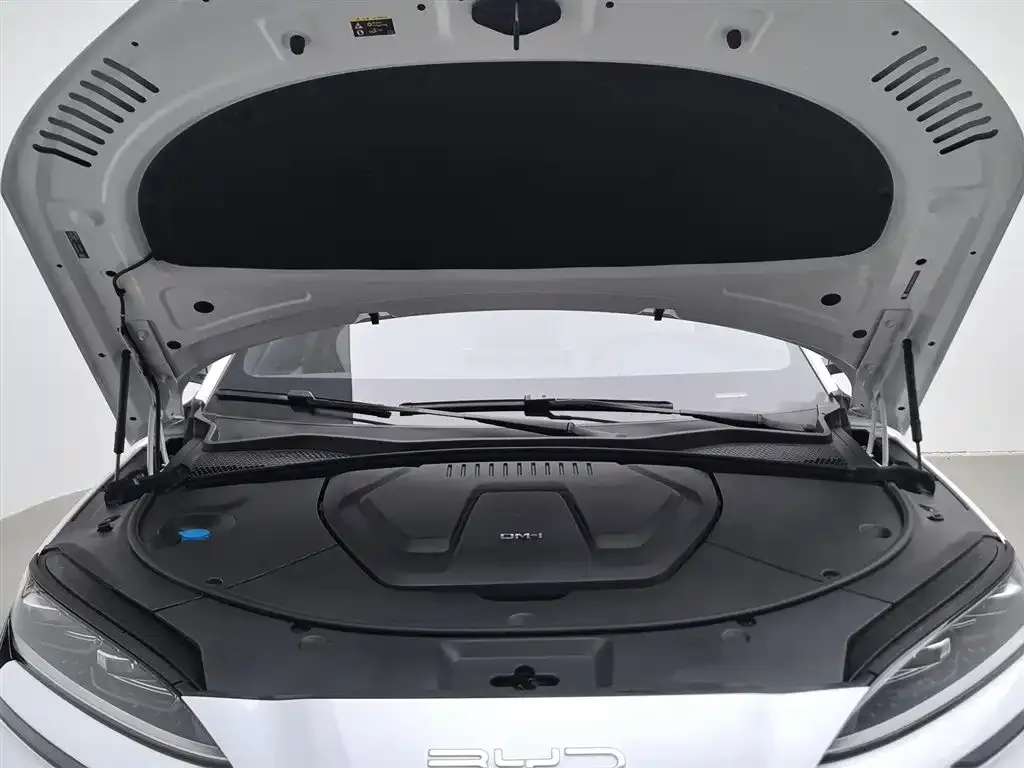 BYD PLUS New Energy — фото 3