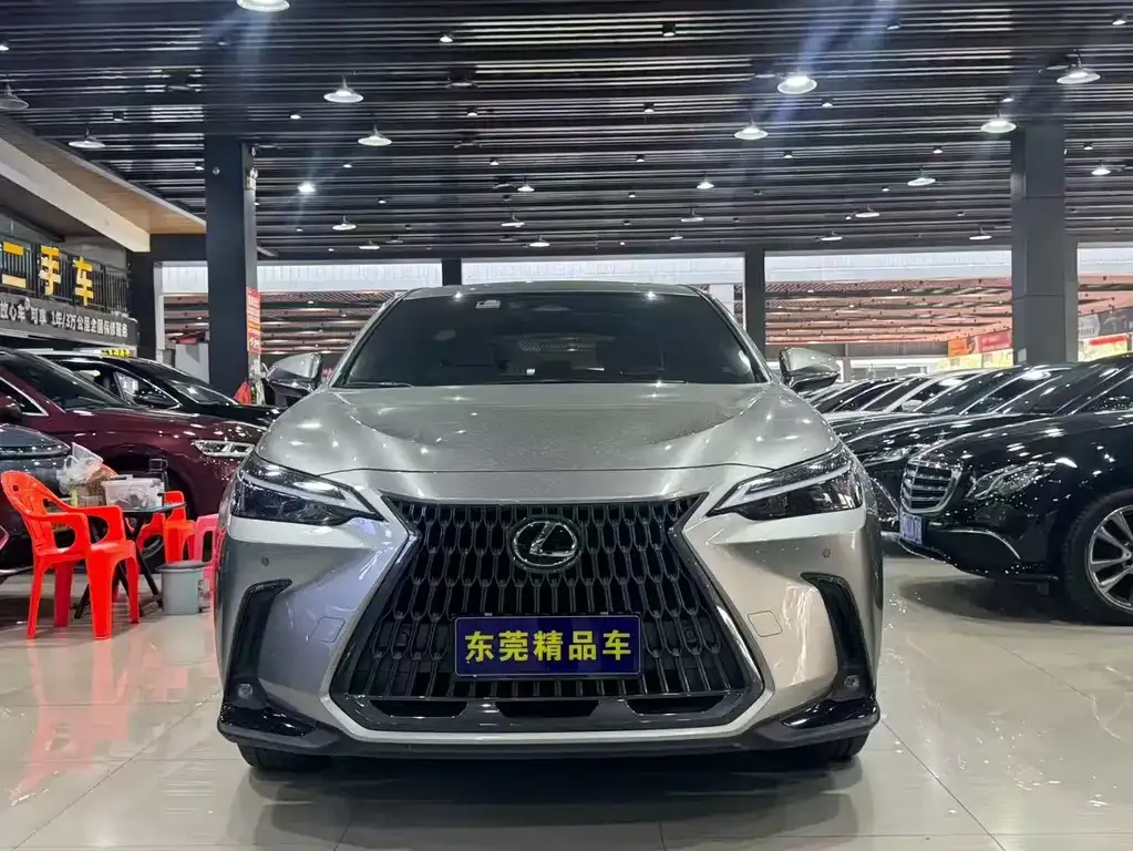 Lexus NX 2023 из CN, фото 7