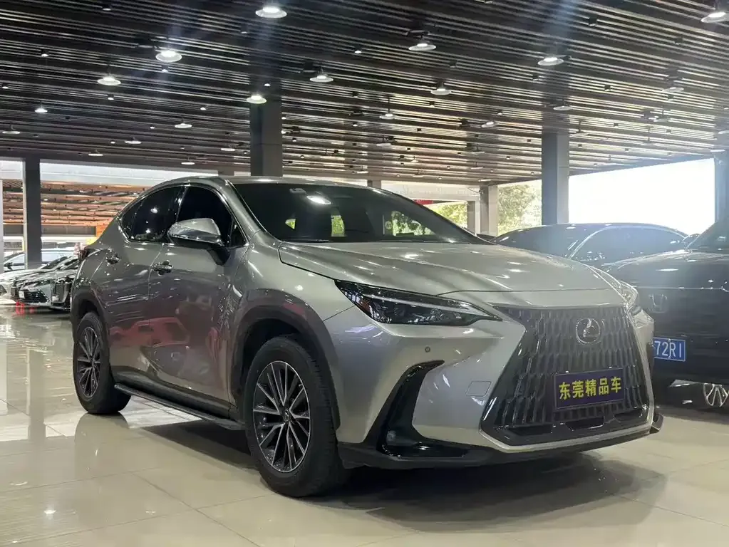 Lexus NX 2023 из CN, фото 6