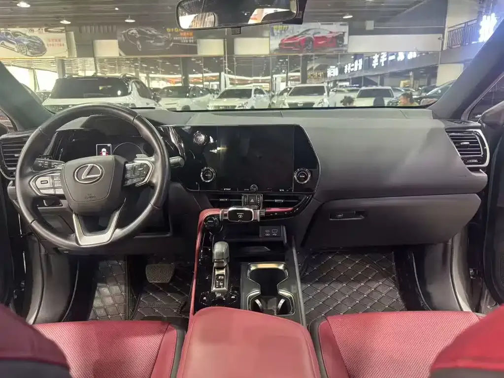 Lexus NX 2023 из CN, фото 5