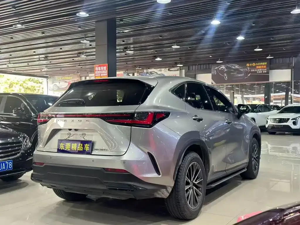 Lexus NX 2023 из CN, фото 9
