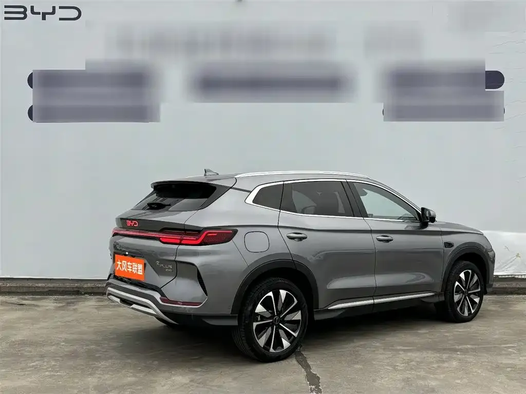 BYD PLUS New Energy 2025 из CN, фото 3