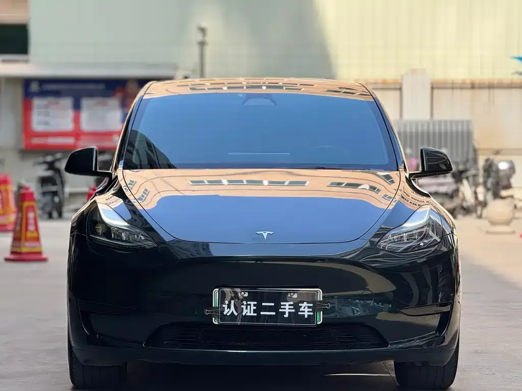 Tesla Model Y — фото 2