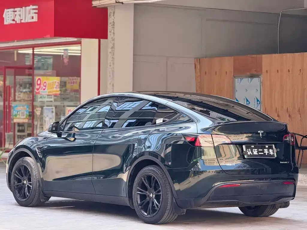 Tesla Model Y — фото 5