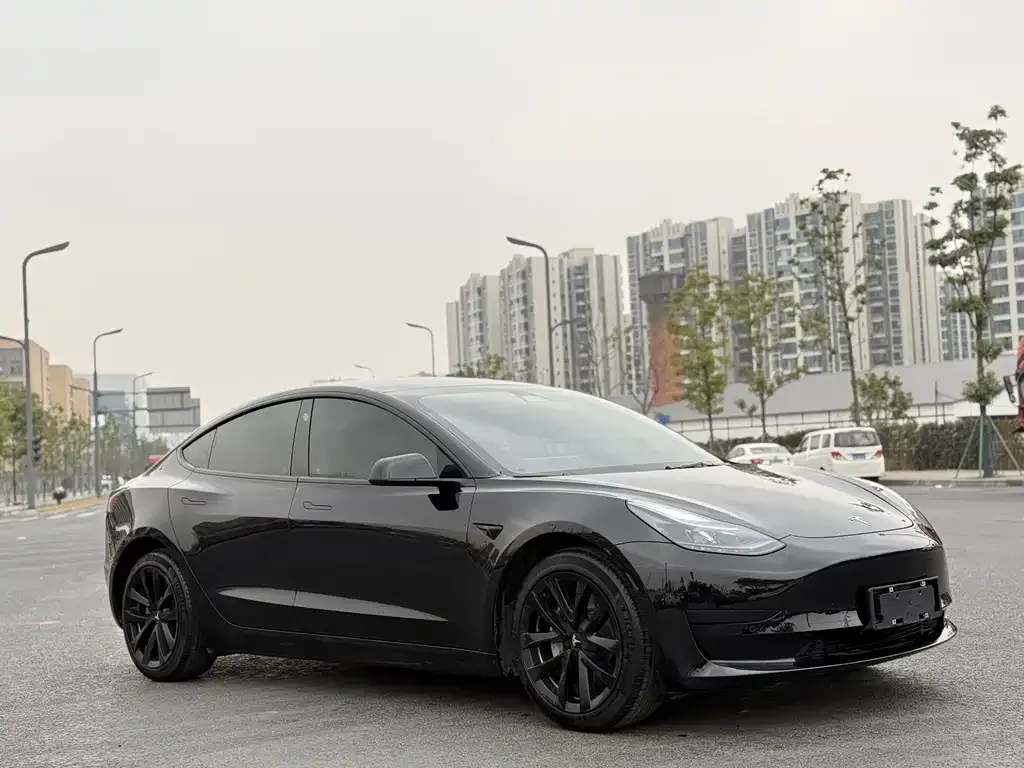 Tesla Model 3 2023 из CN, фото 6