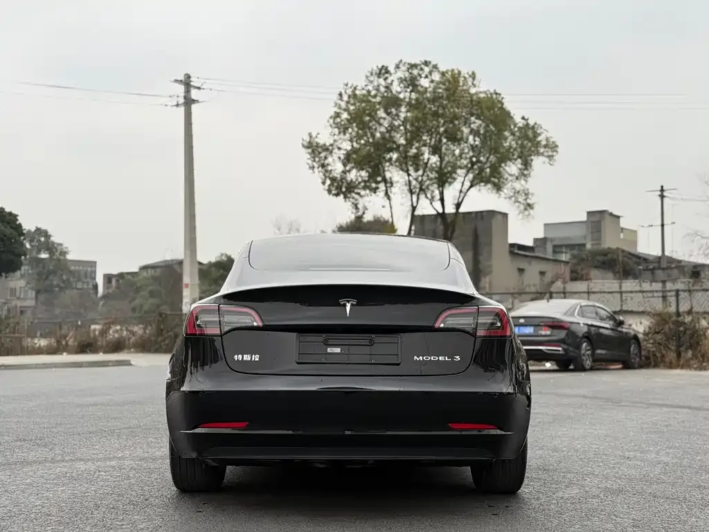 Tesla Model 3 2023 из CN, фото 2