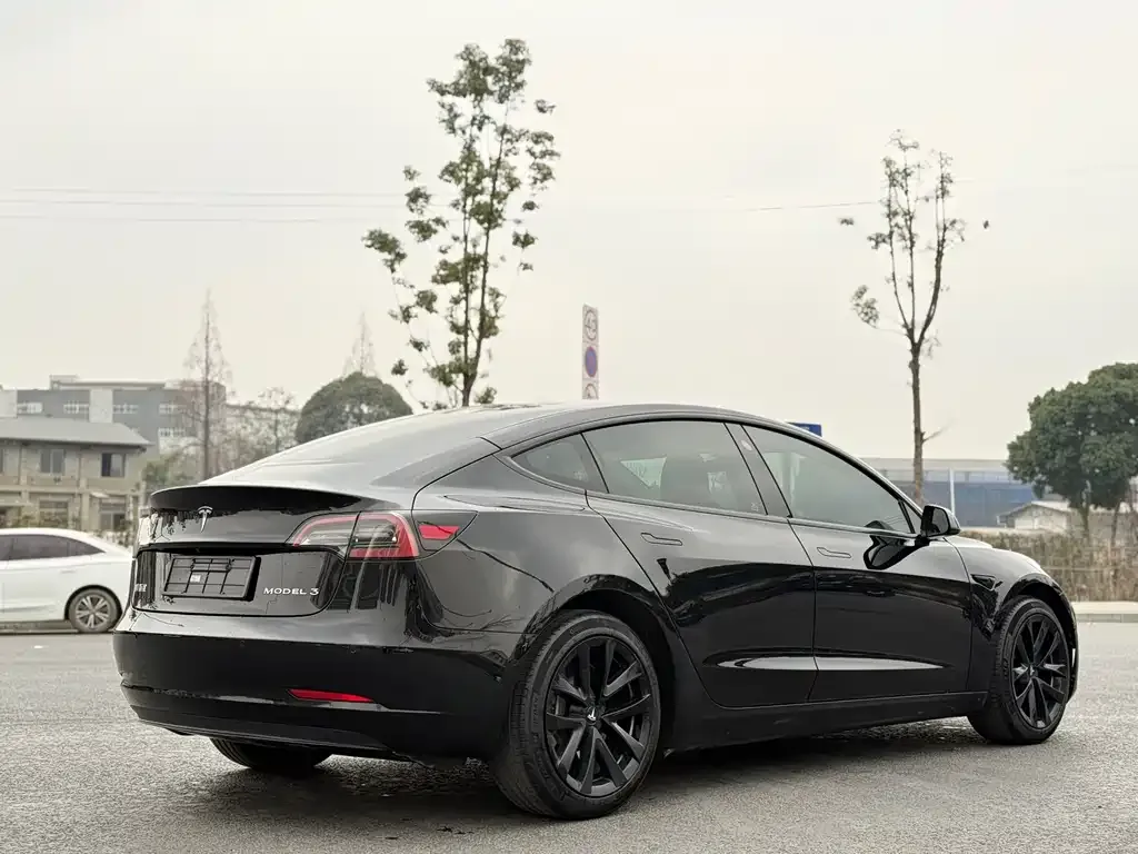 Tesla Model 3 2023 из CN, фото 3