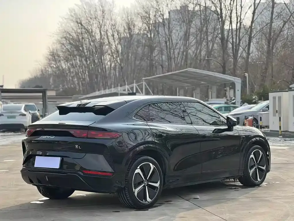 BYD L EV 2024 из CN, фото 6