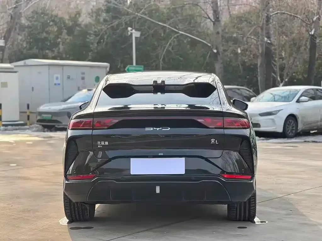 BYD L EV 2024 из CN, фото 4