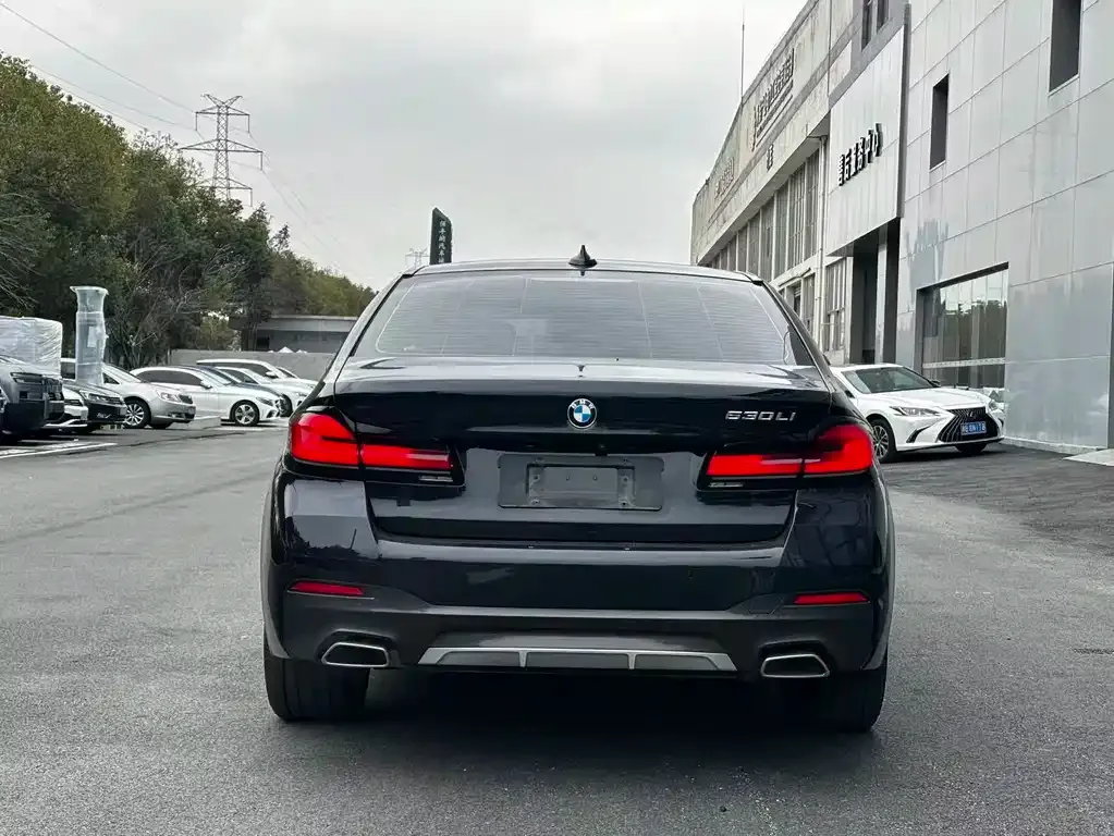 BMW 5 Series 2023 из CN, фото 8