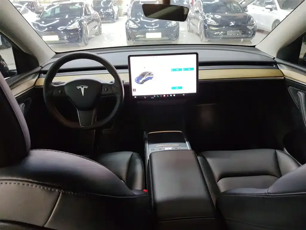 Tesla Model Y 2021 из CN, фото 6