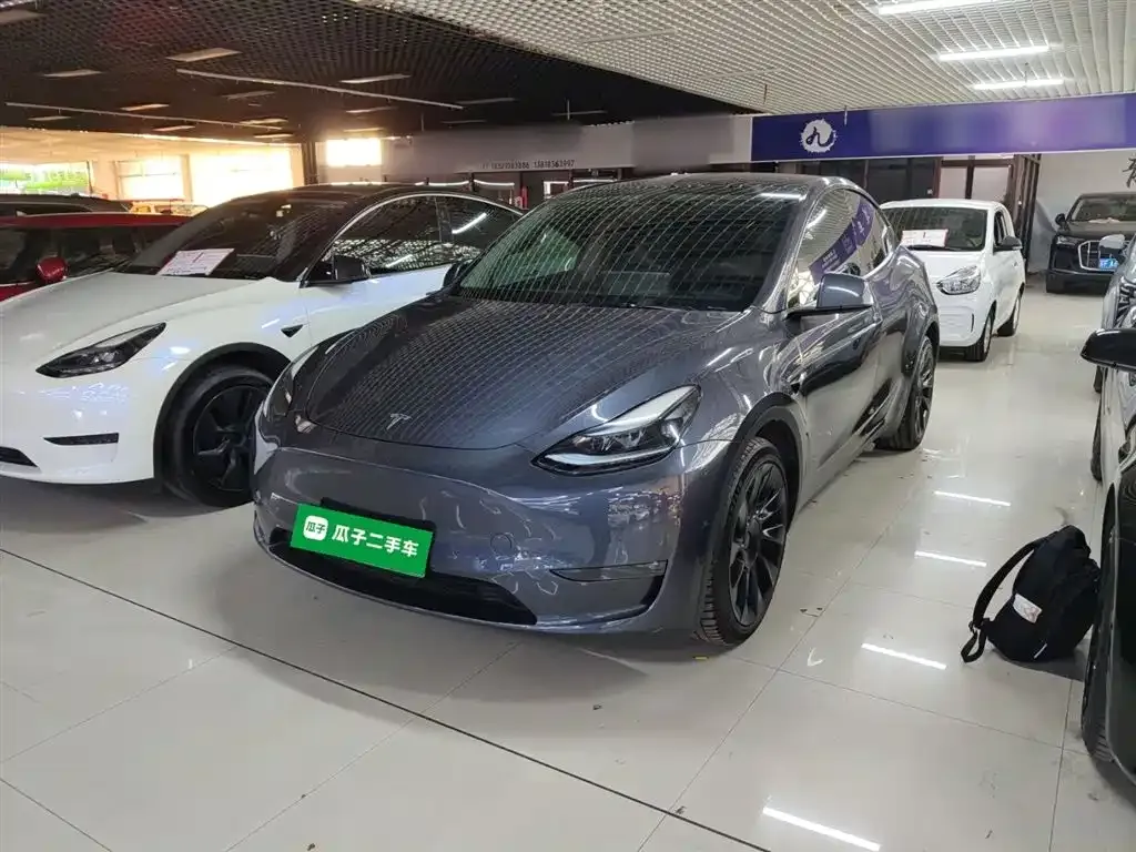 Tesla Model Y 2021 из CN, фото 2