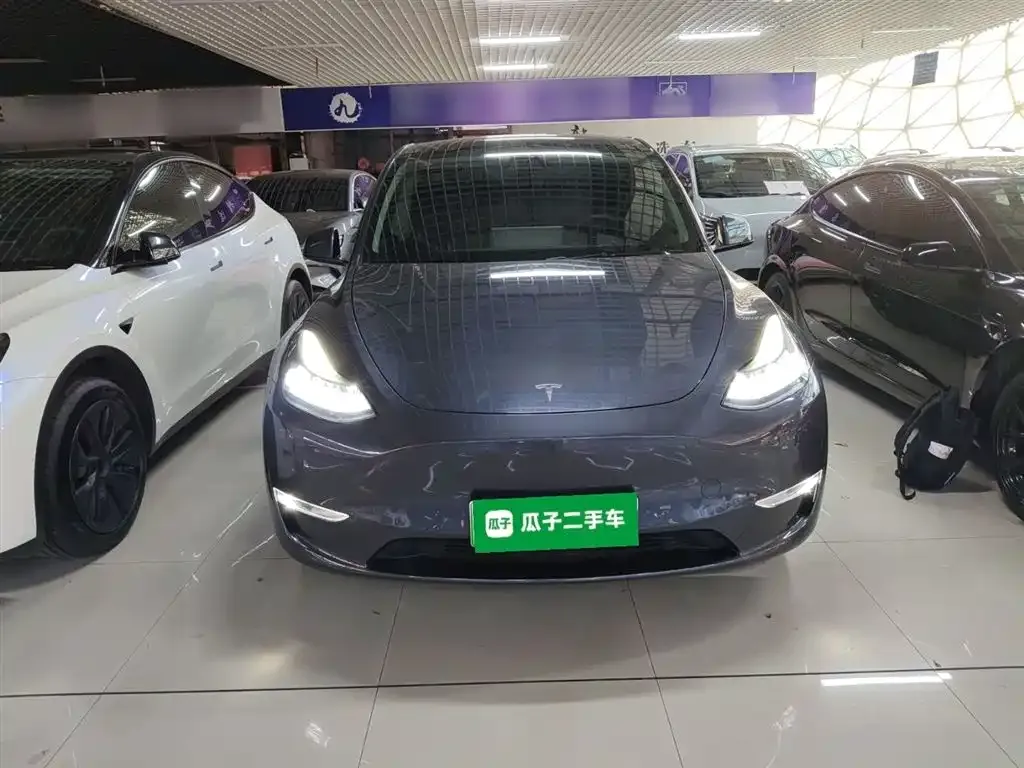 Tesla Model Y 2021 из CN, фото 8