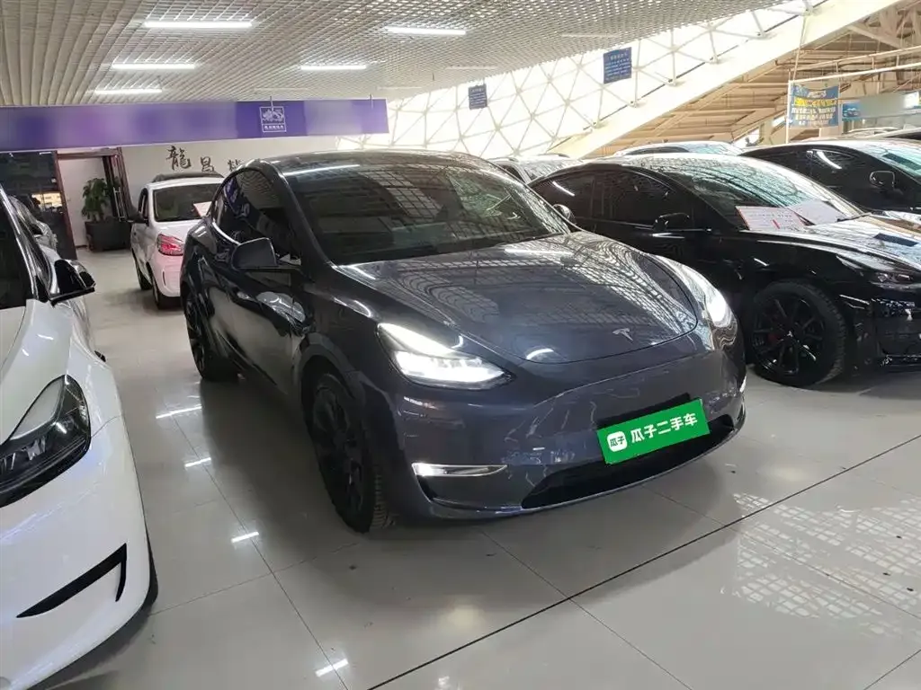 Tesla Model Y 2021 из CN, фото 10