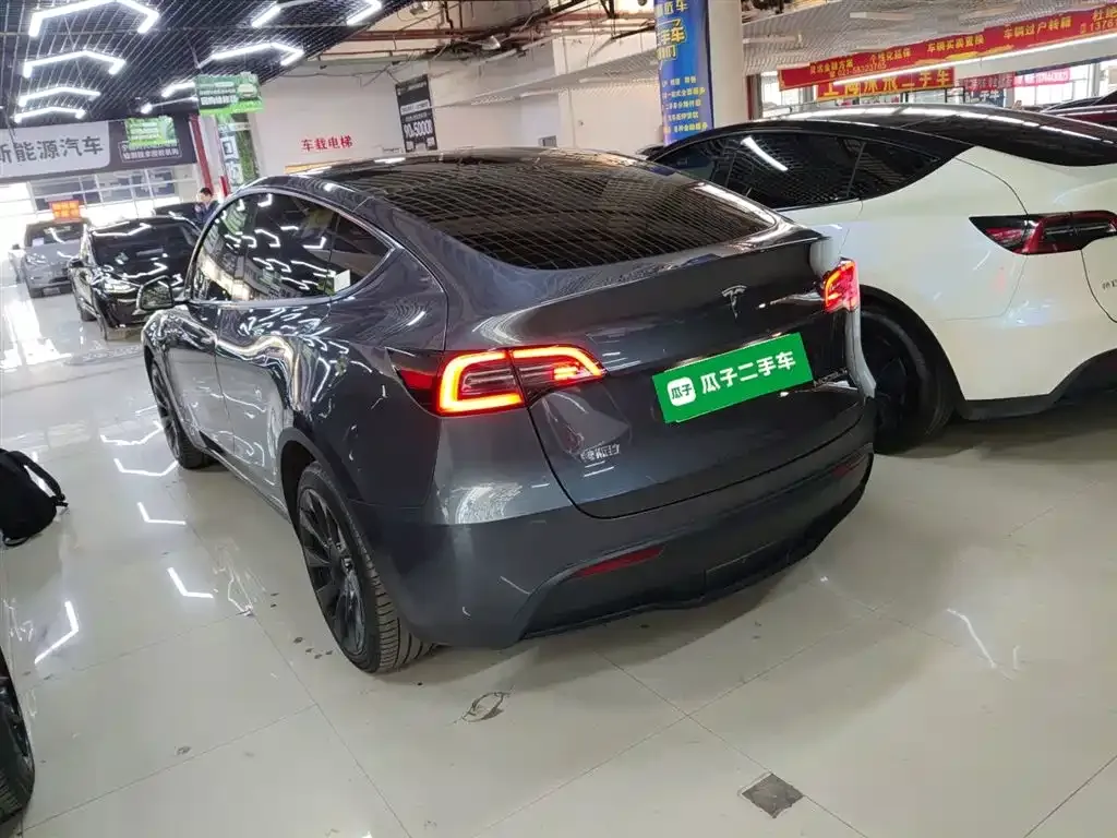 Tesla Model Y 2021 из CN, фото 9