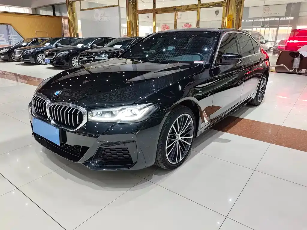 BMW 5 Series 2022 из CN, фото 1