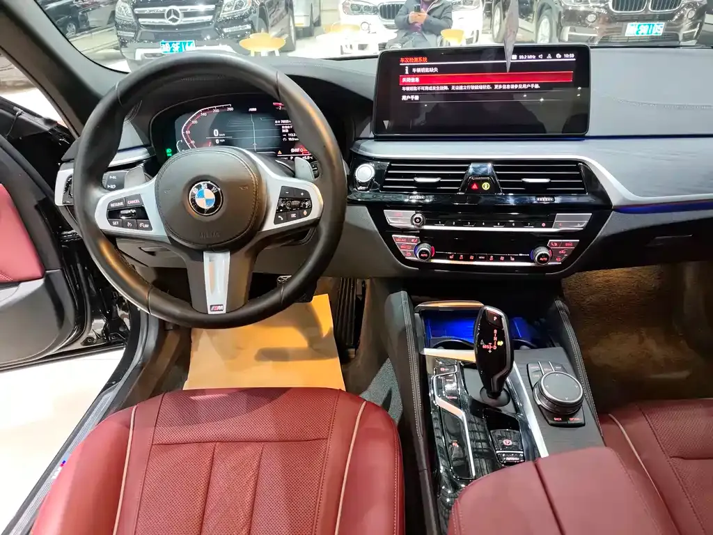 BMW 5 Series 2022 из CN, фото 8